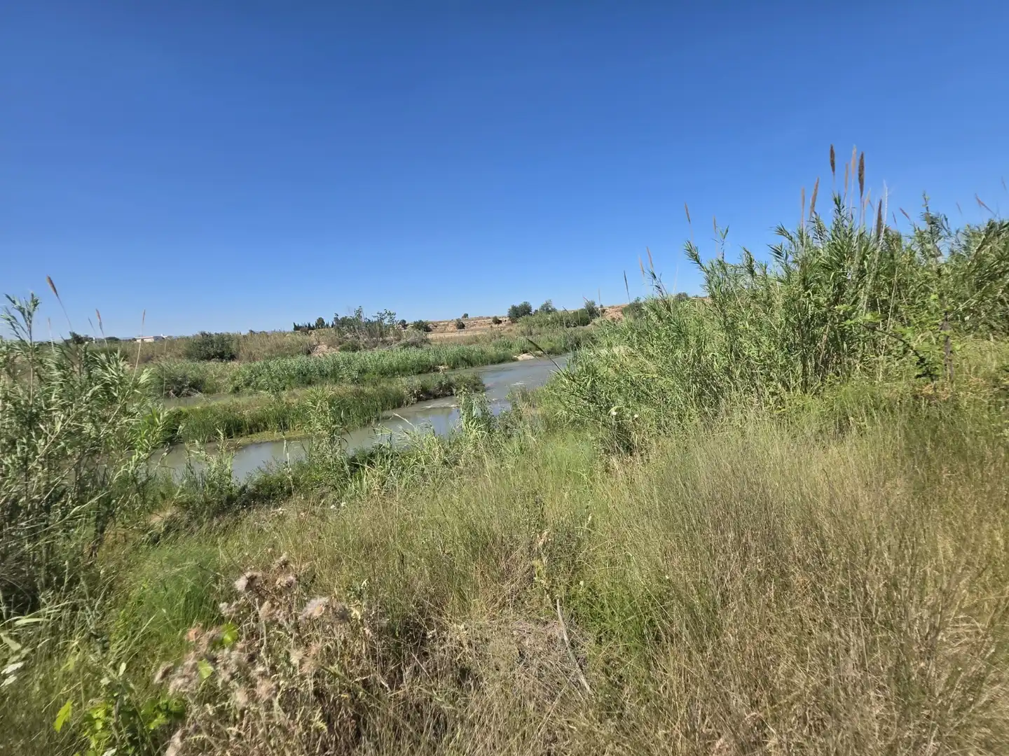 Rural land for sale in Vilamarxant, imagen 15