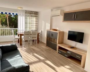 Study to rent in Benidorm, Alicante / Alacant