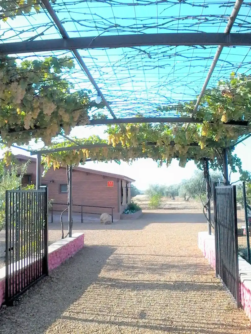 Country homes for sale in Fuente el Fresno  with Air Conditioner, Heating and Private garden