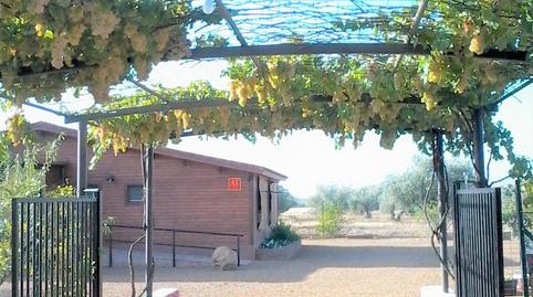 Foto 3 de Finca rústica en venda a Fuente el Fresno, Ciudad Real
