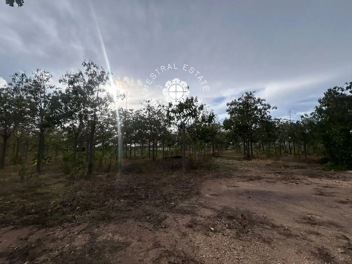 Terreno rustico in vendita a 16, imagen 16