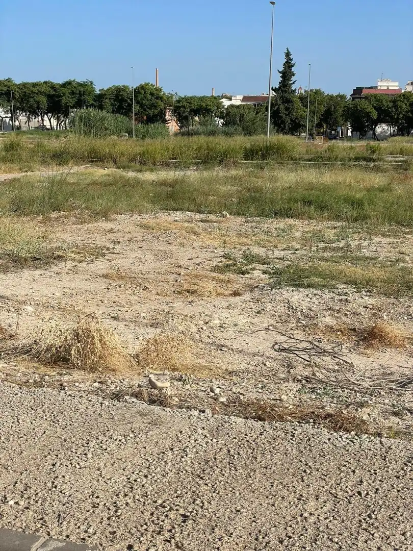 Terreny rústic en venda a Ceutí, imagen 10