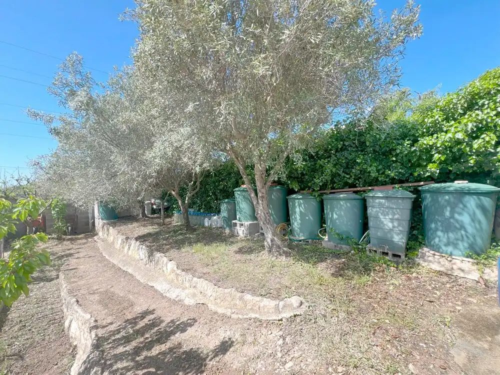 Jardín de Casa o chalet en venta en Cabra del Camp con Terraza, Trastero y Amueblado