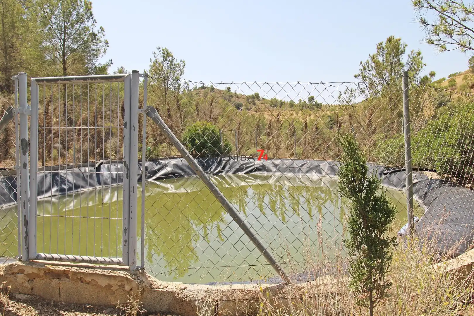 Garden of Country homes for sale in Lorca  with Private garden, Parquet flooring and Terrace