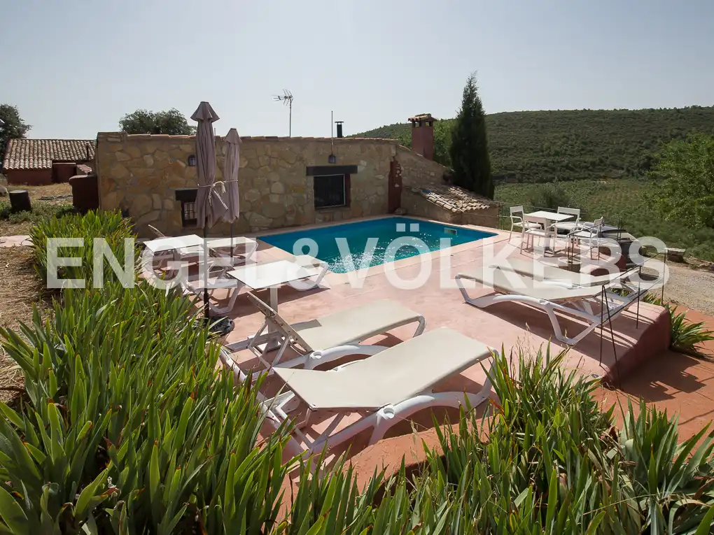 Piscina de Casa o chalet en venta en Enguera con Aire acondicionado, Calefacción y Jardín privado