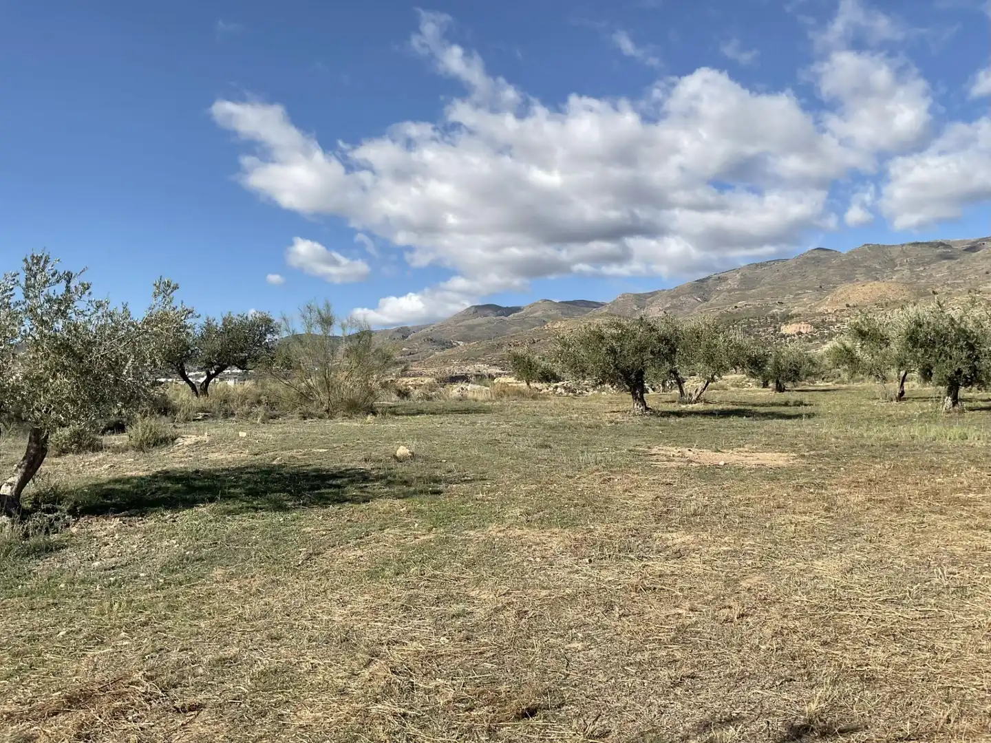 Land for sale in Padules