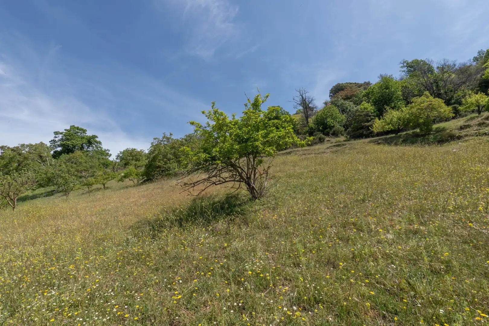 Terreno rústico en venta en Polígono Polígono 2 Parcela 34 ALBERQUILLAS. SOPORTUJAR (G 2, imagen 44