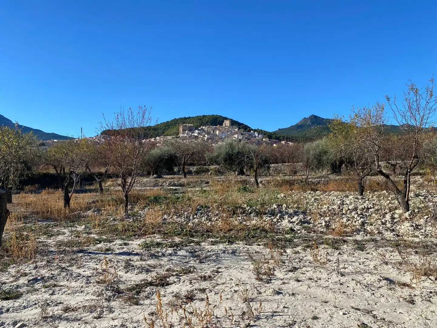 Terreni e lotti in vendita a Moratalla, imagen 2