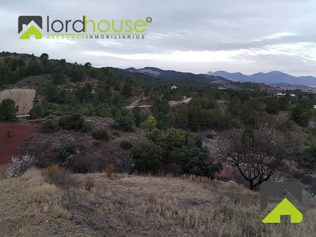 Casa o chalet en venta en Lorca