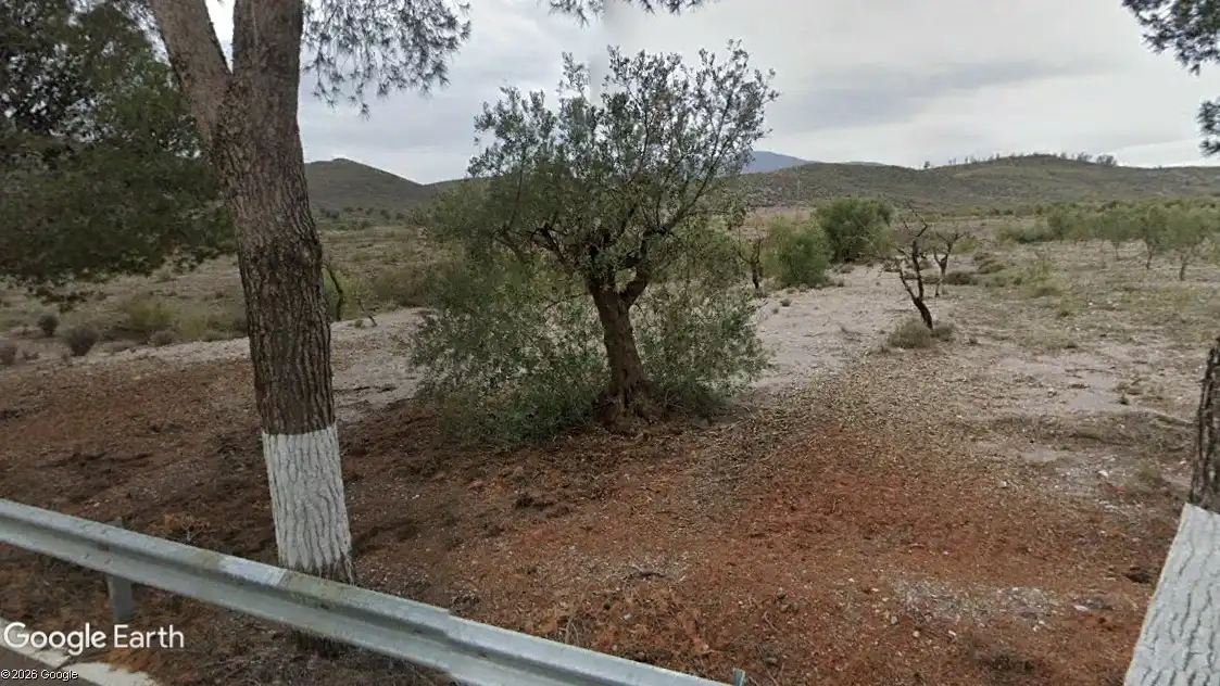 Rustikales Grundstück zum Verkauf in Alboloduy, imagen 8