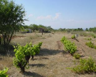 Land for sale in Rasquera