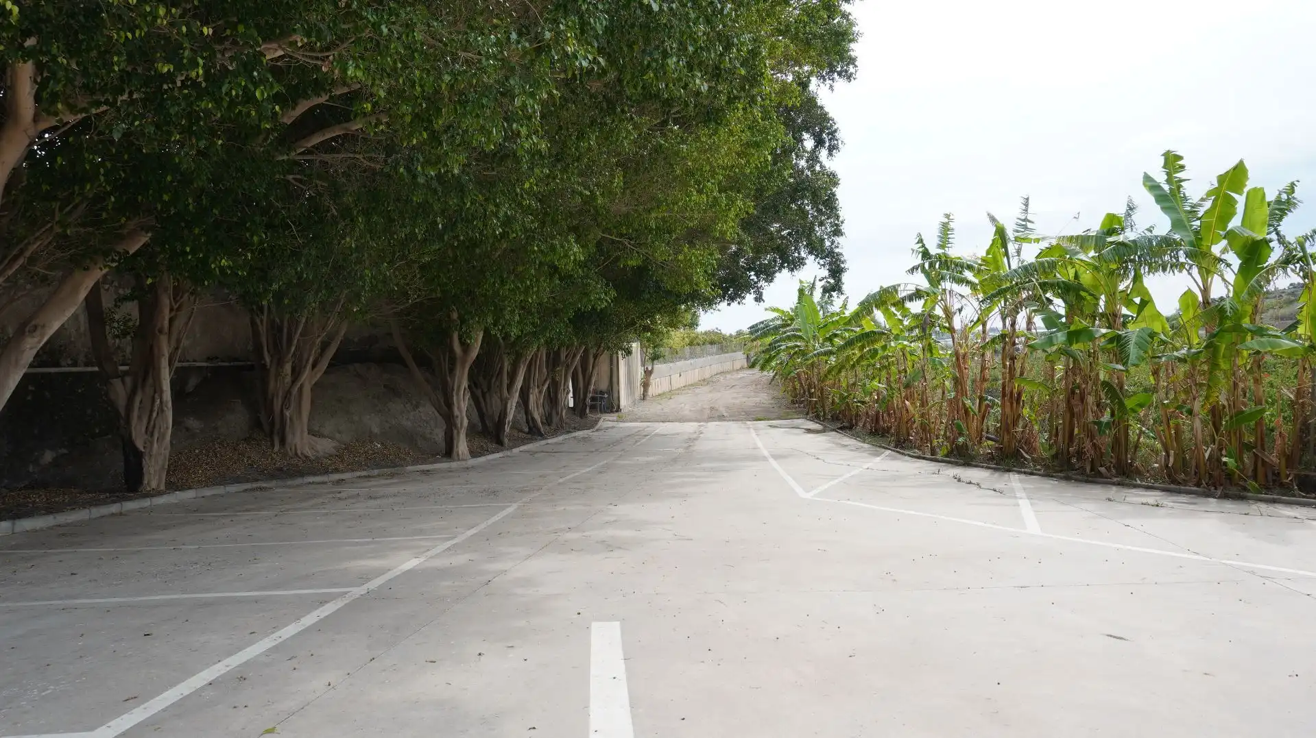Parkplatz von Fabrikhallen zum Verkauf in Motril