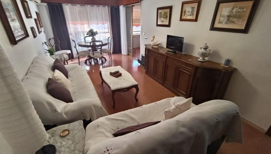 Photo 1 of Flat to rent in Florida Alta, Alicante