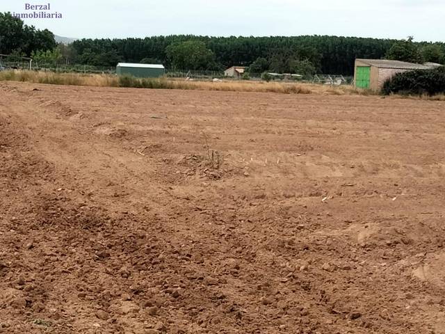 Terreno en Venta en Calle Recajo ( Viana) en Viana