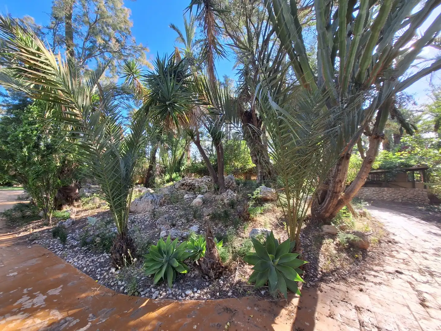 Jardín de Casa o chalet en venta en Elche / Elx