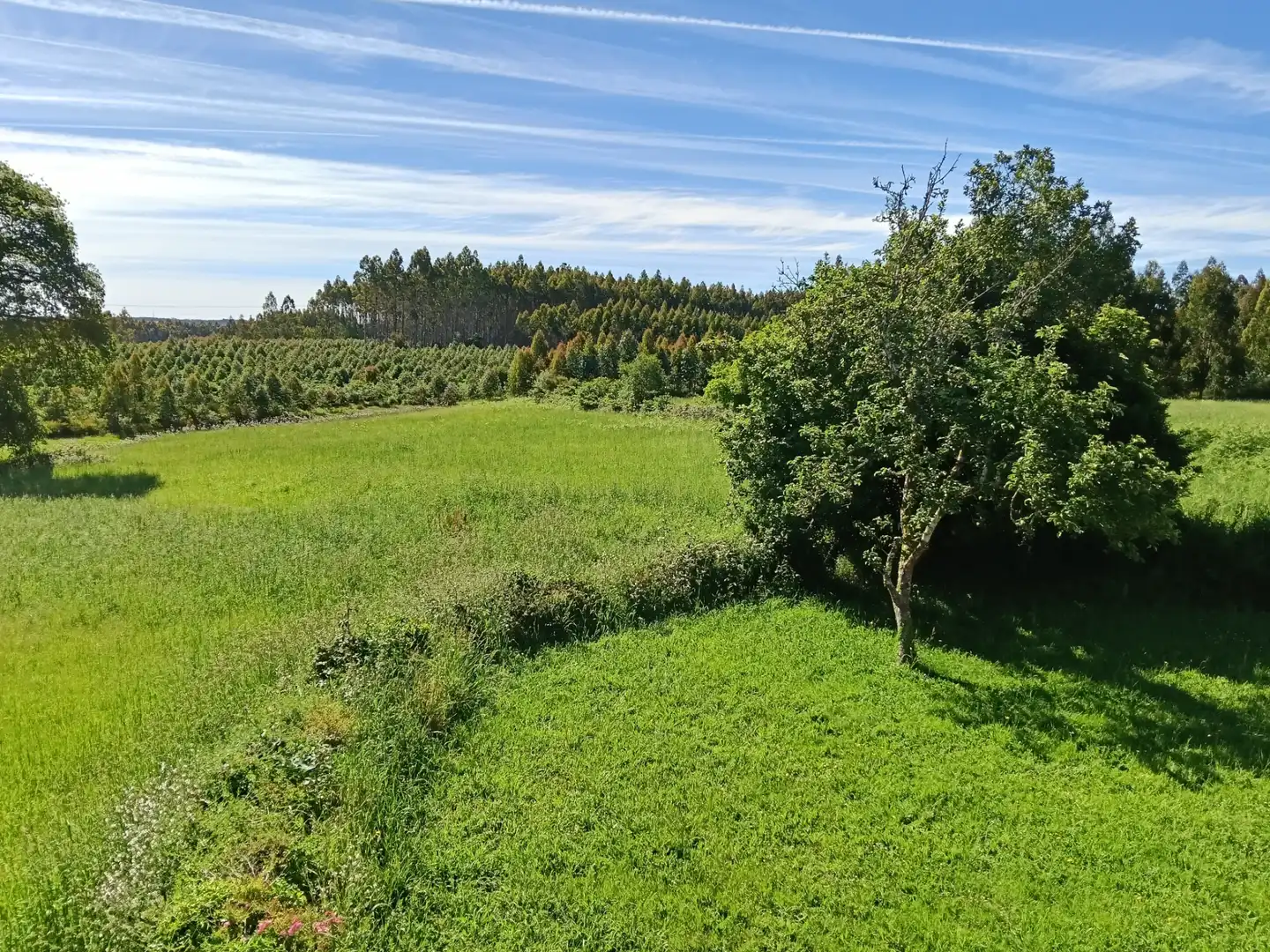 Haus oder Chalet zum Verkauf in Curtis mit Privatgarten