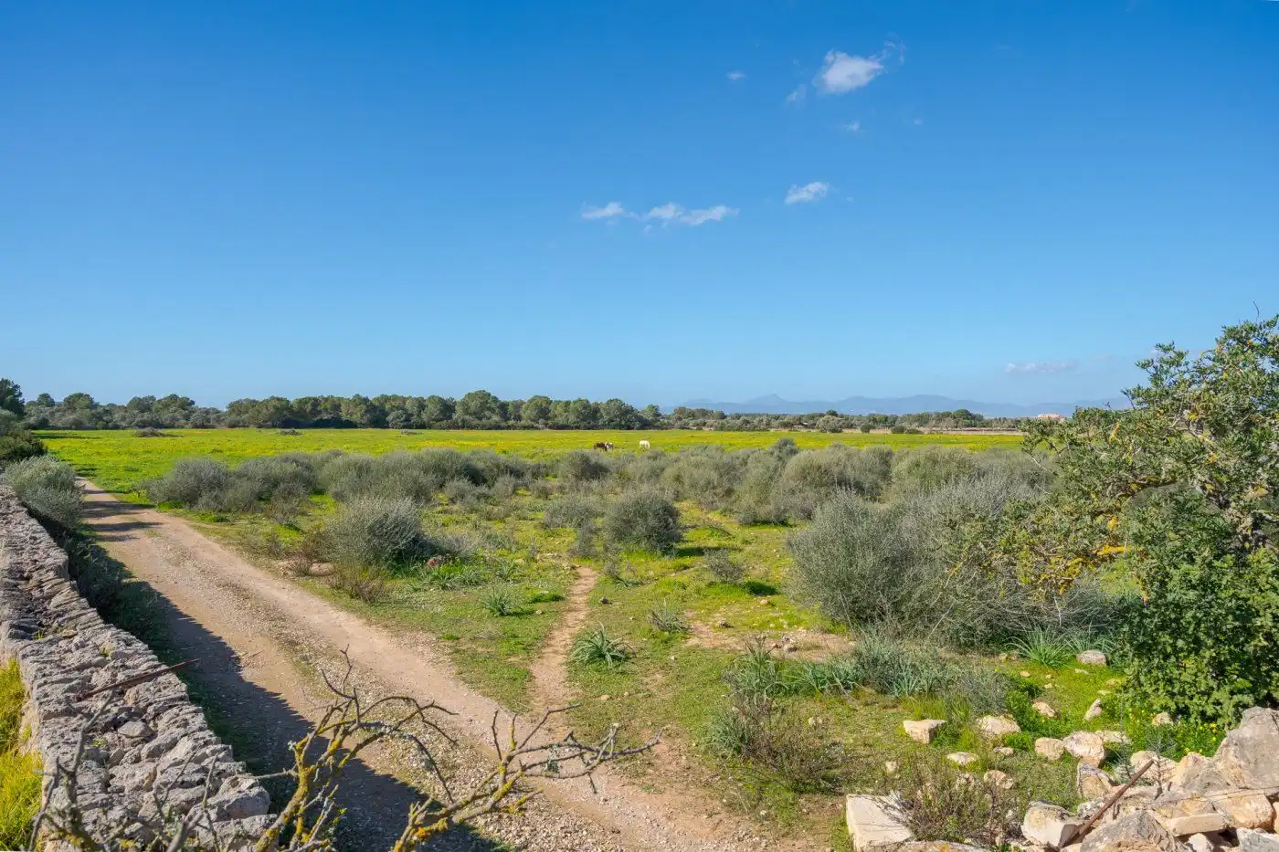 Country house with garden for sale in Llucmajor pueblo, imagen 13