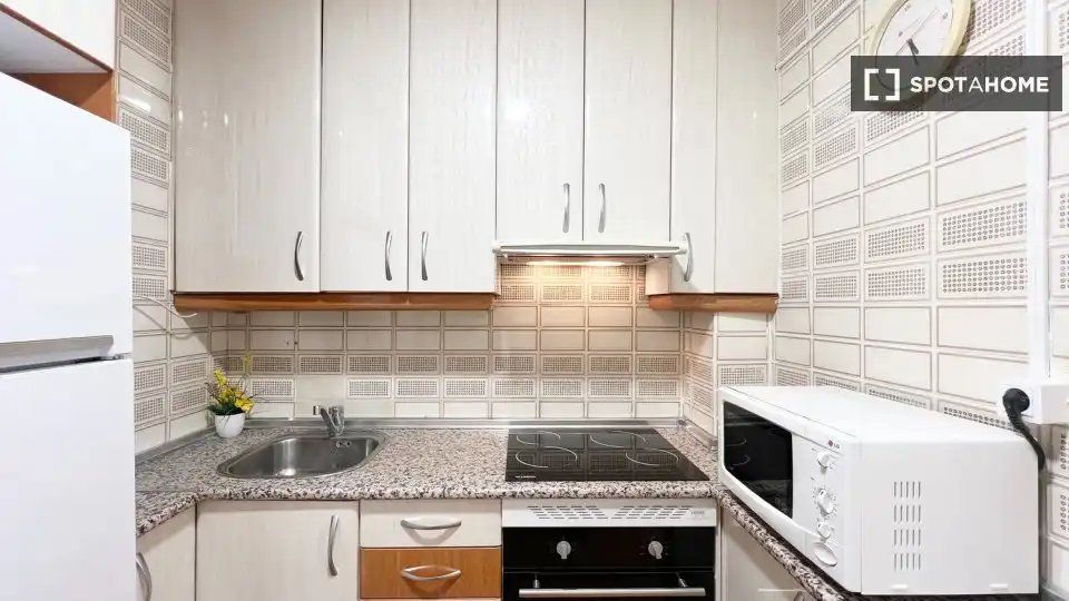 Kitchen of Flat for rent in Madrid  with Air Conditioner, Heating and Furnished