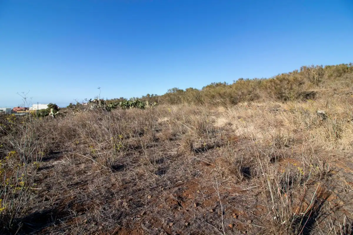 Residential for sale in El Rosario