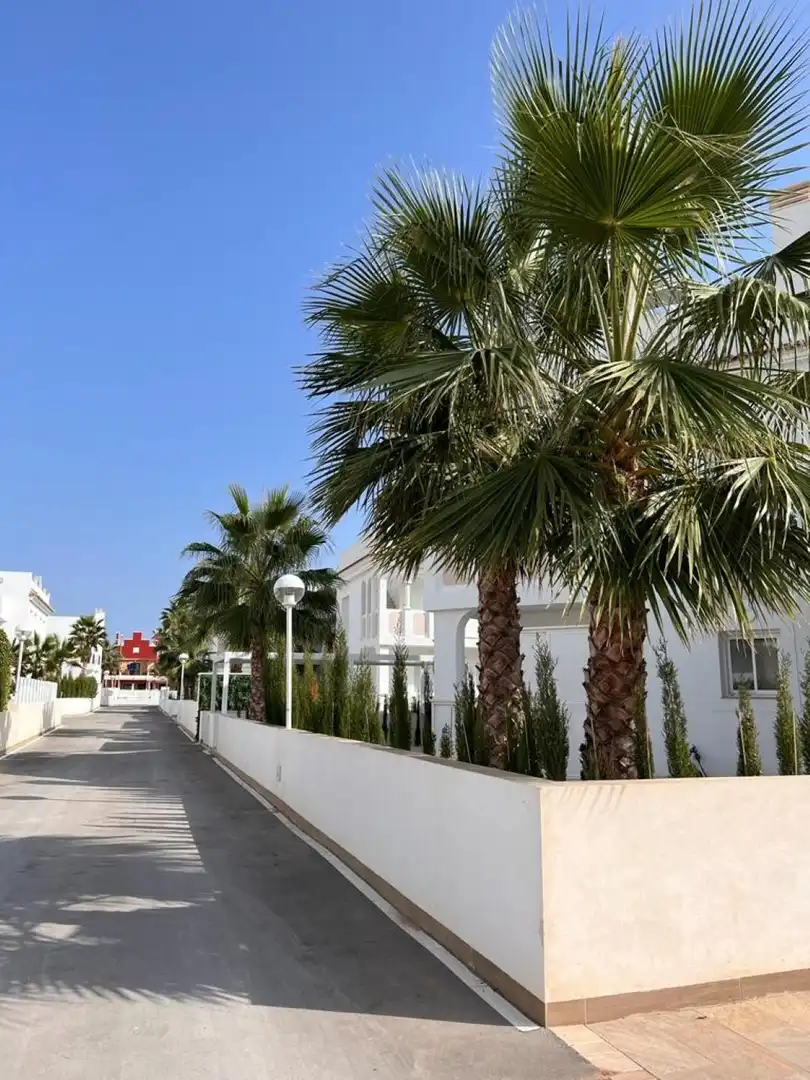 Bungalow à vendre à Rojales, imagen 13