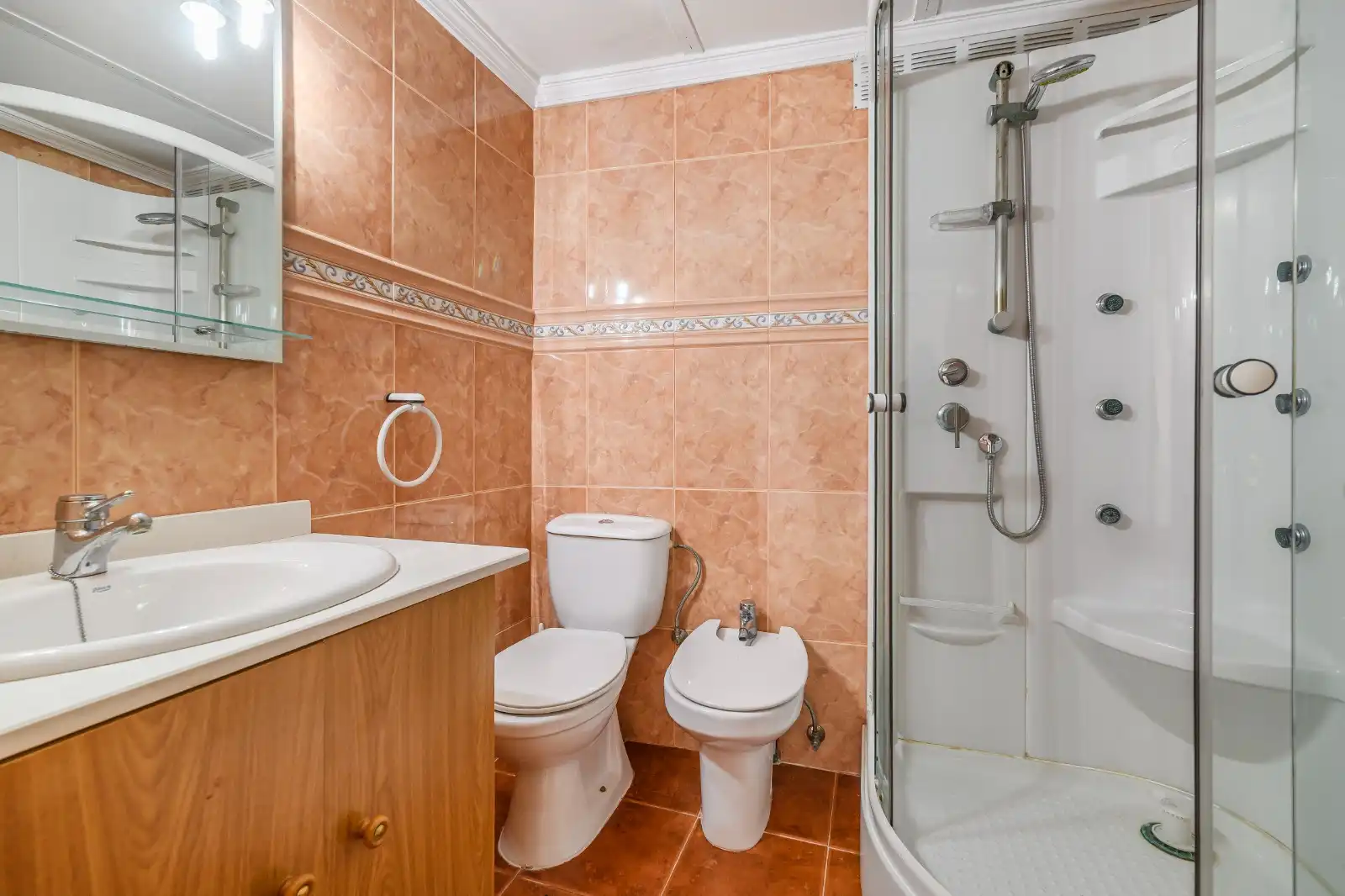 Bany de Casa o xalet en venda en Sant Boi de Llobregat amb Terrassa