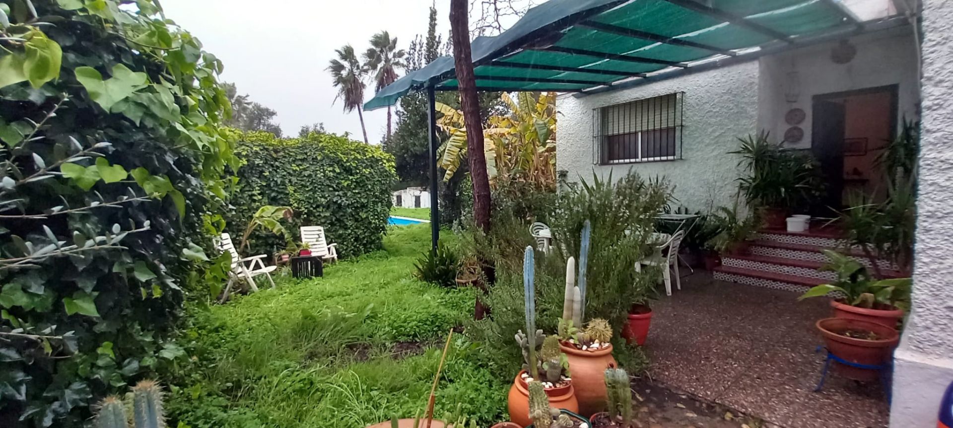 Garden of House or chalet for sale in Mairena del Aljarafe  with Air Conditioner, Private garden and Swimming Pool