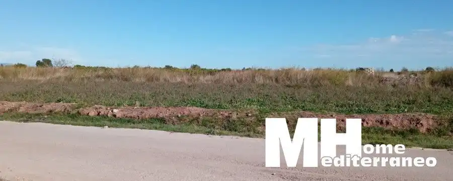 Rural land for sale in Chilches / Xilxes, imagen 3