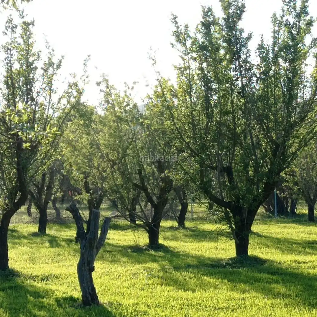 Terreni e lotti in vendita a Camino de las agonias alta 14