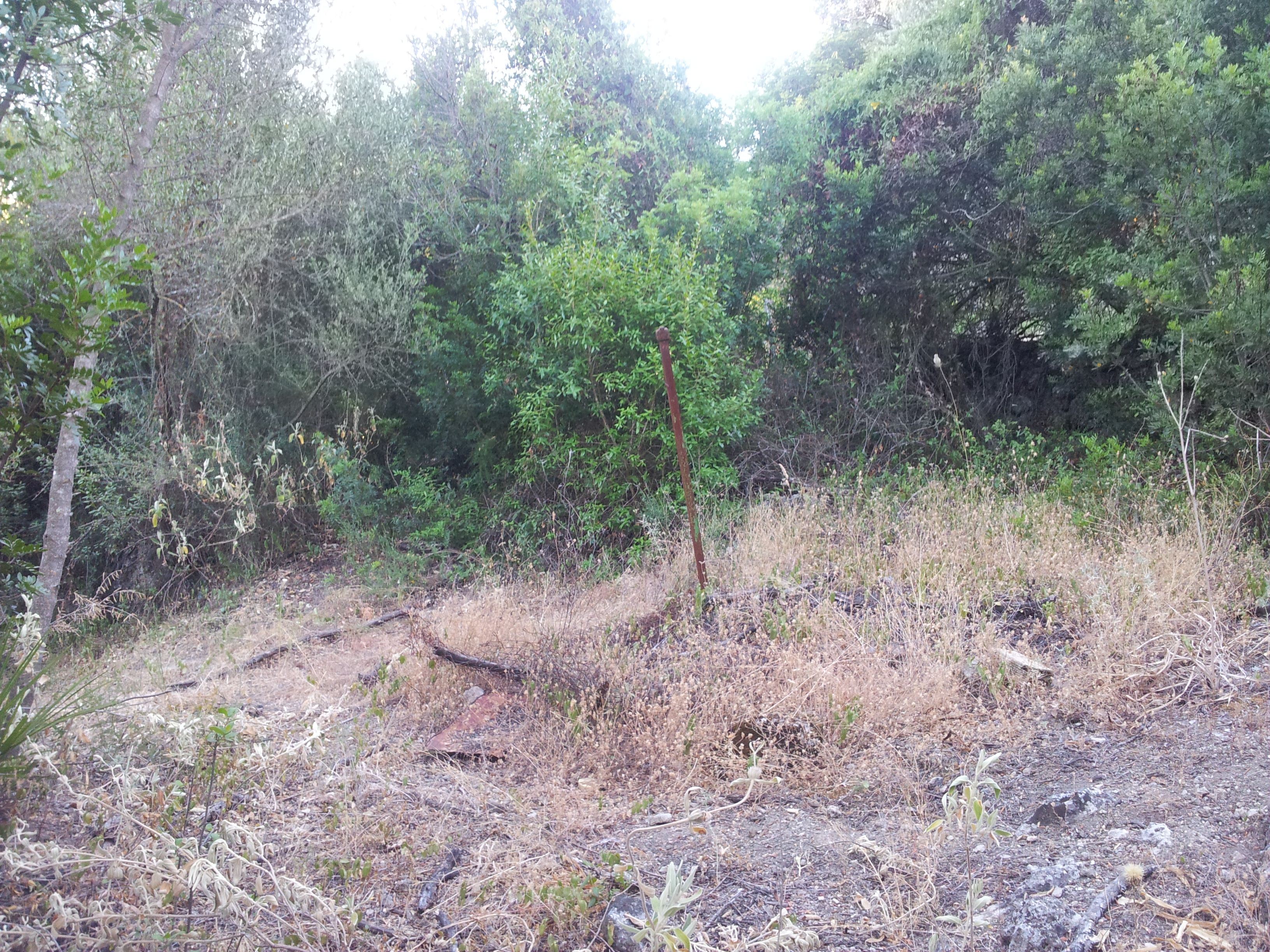 Finca rústica en venta