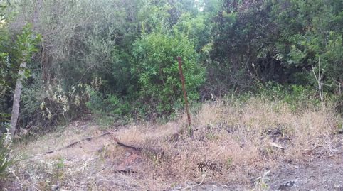 CASA DE CAMPO CON PARCELA DE 2000 M2 APROXIMADAMENTE