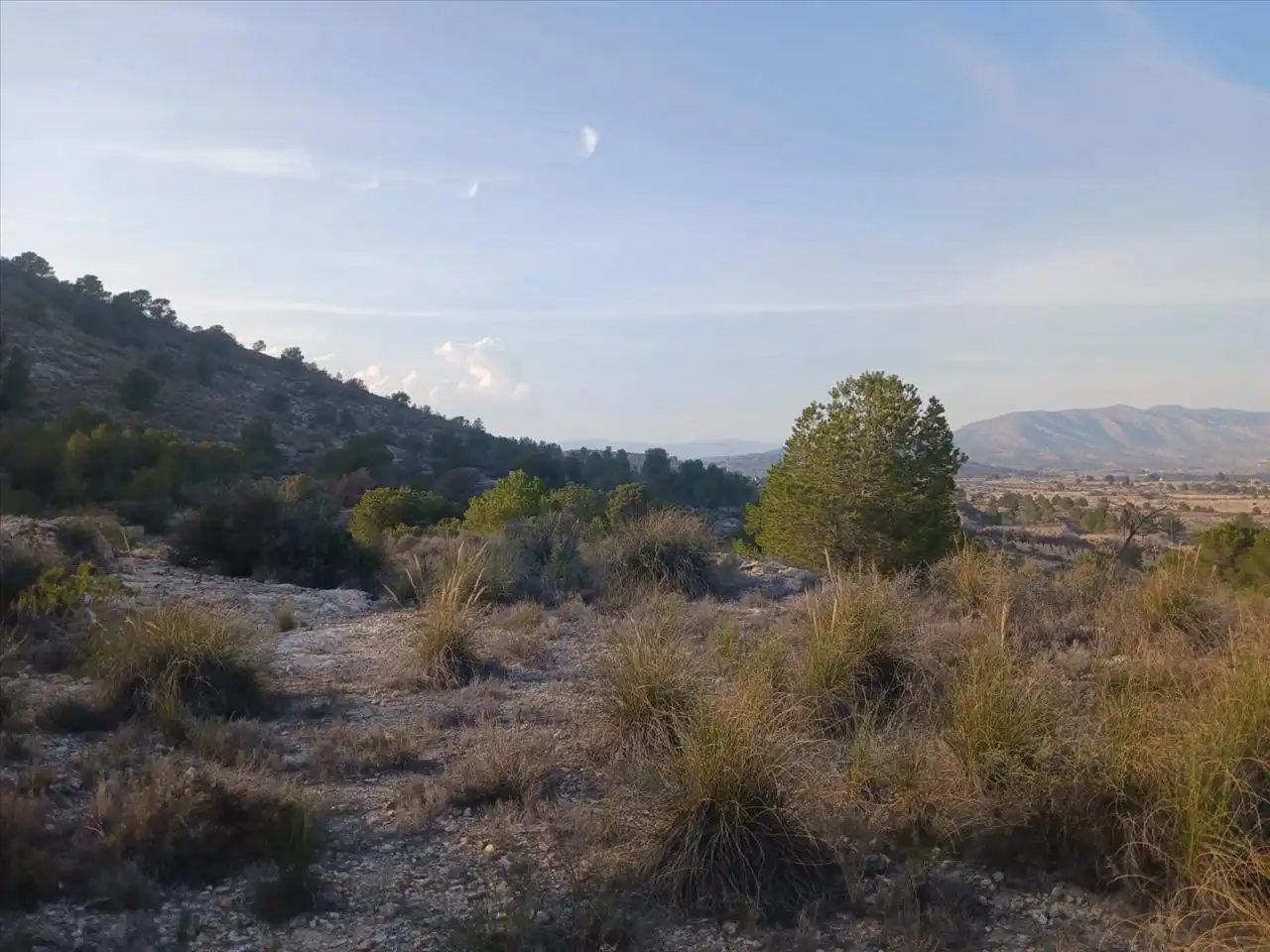 Residential land for sale in Proc. Simplificado, imagen 6