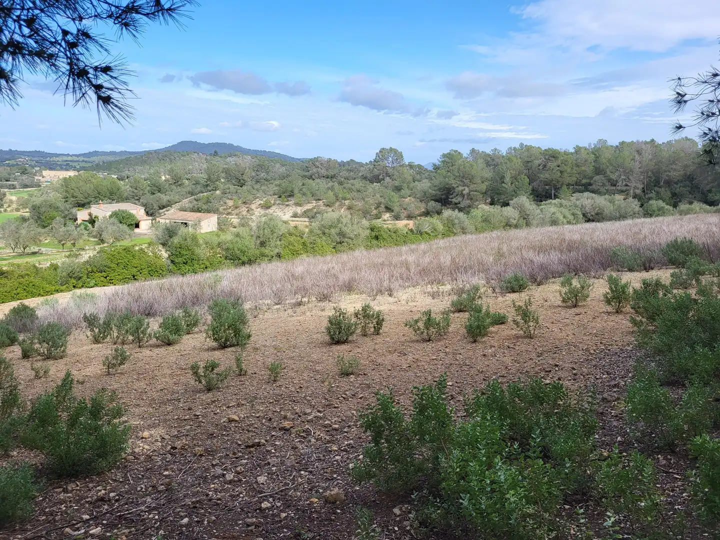 Terreni e lotti in vendita a Sant Joan, imagen 34