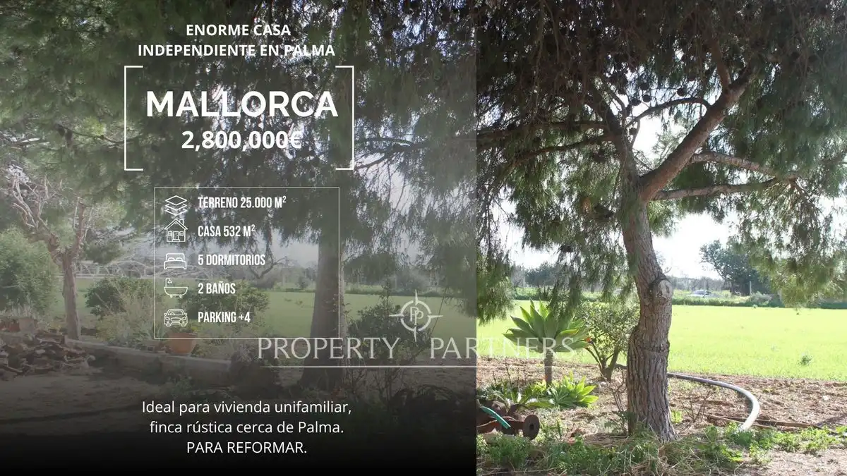 Villa avec jardin à vendre à Son Nebot, imagen 4