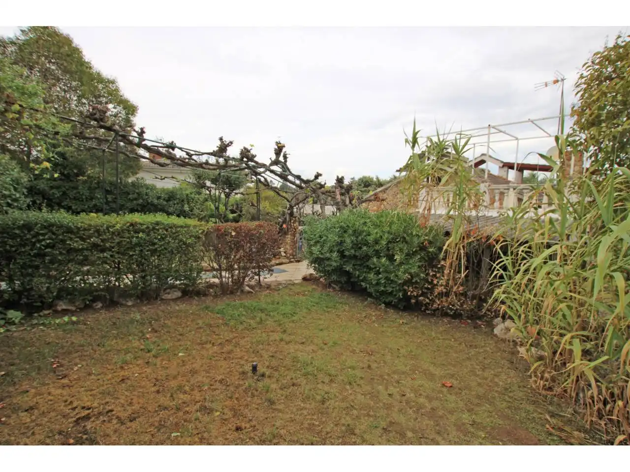 House with garden for sale in Calle Juan Ramón Jiménez, imagen 8