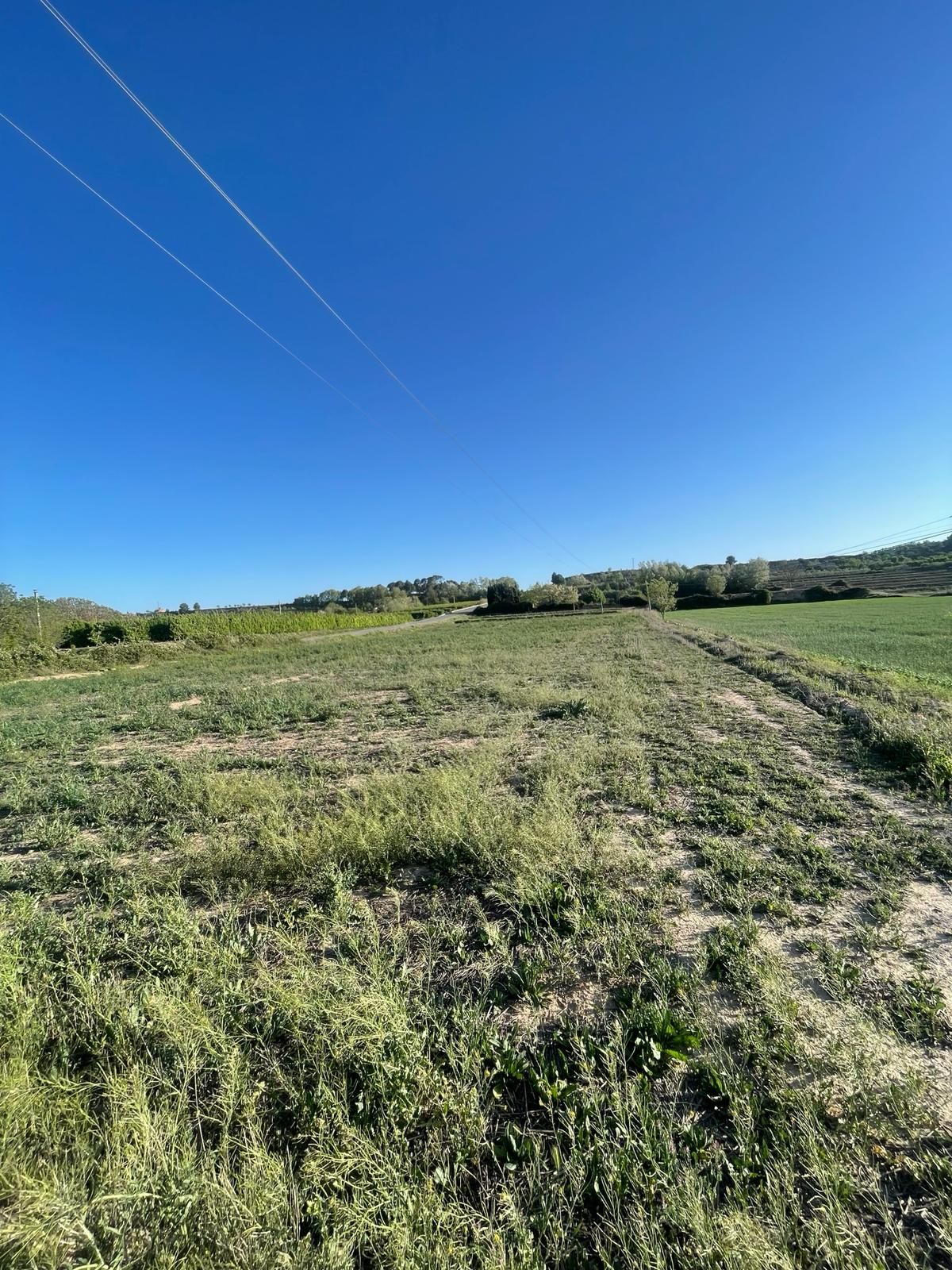 Terreno en venta en Puiggròs