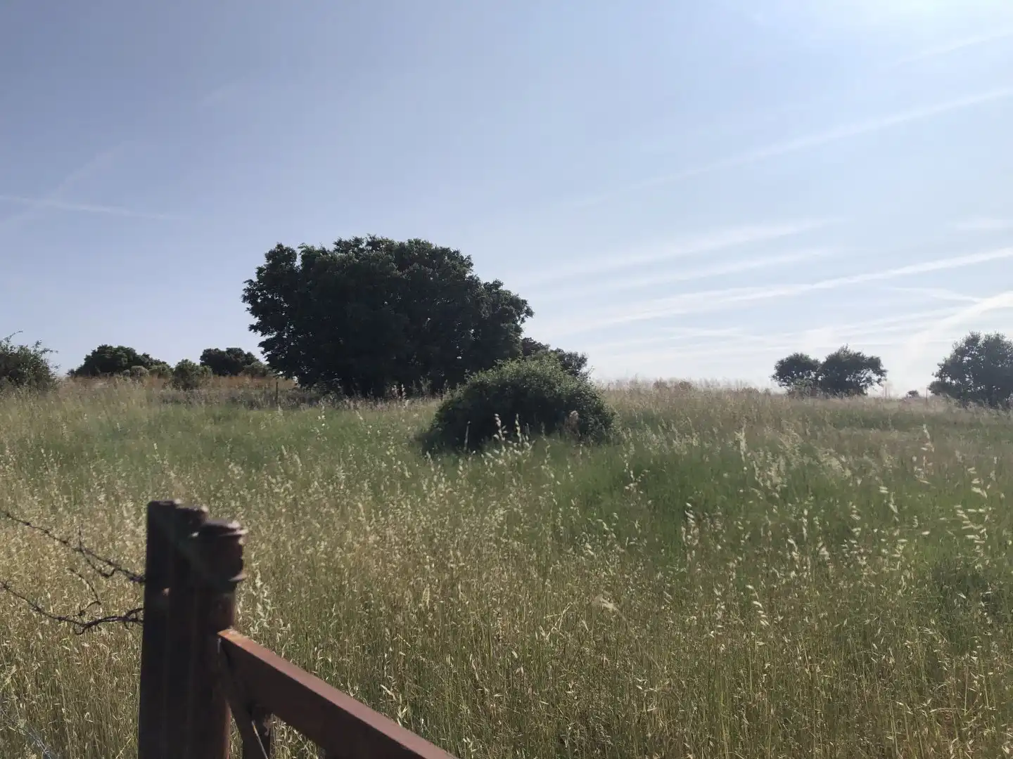 Terreni e lotti in vendita a Pelayos del Arroyo, imagen 13