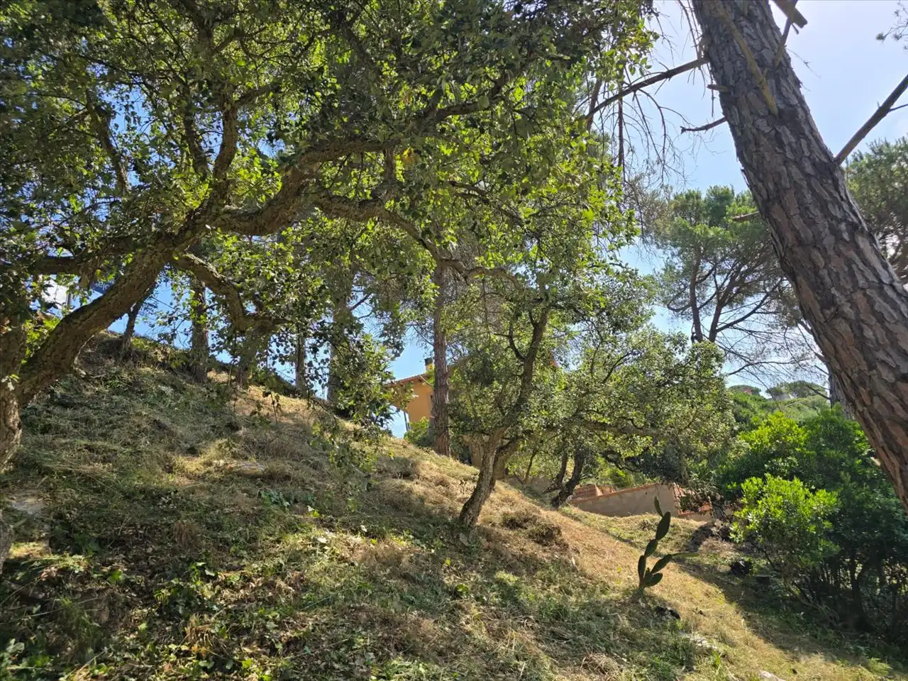Rustikales Grundstück zum Verkauf in Avinguda de la Senyera, 4, Lloret de Mar, Spain, imagen 7