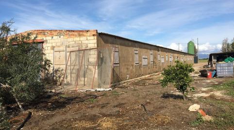 Photo 3 of Industrial buildings for sale in N/a, Eucaliptus - Poble Nou del Delta, Tarragona