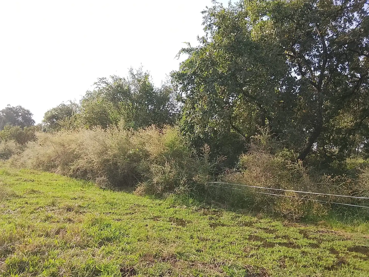 Terreni e lotti in vendita a Villanueva de la Vera, imagen 17