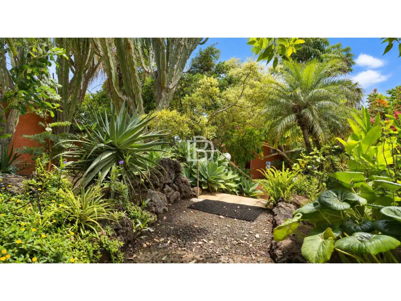 Jardí de Casa o xalet en venda en Santa Catalina