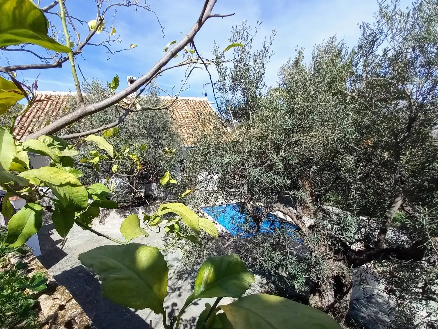 Casa rústica amb piscina en venda a Yunquera, imagen 16