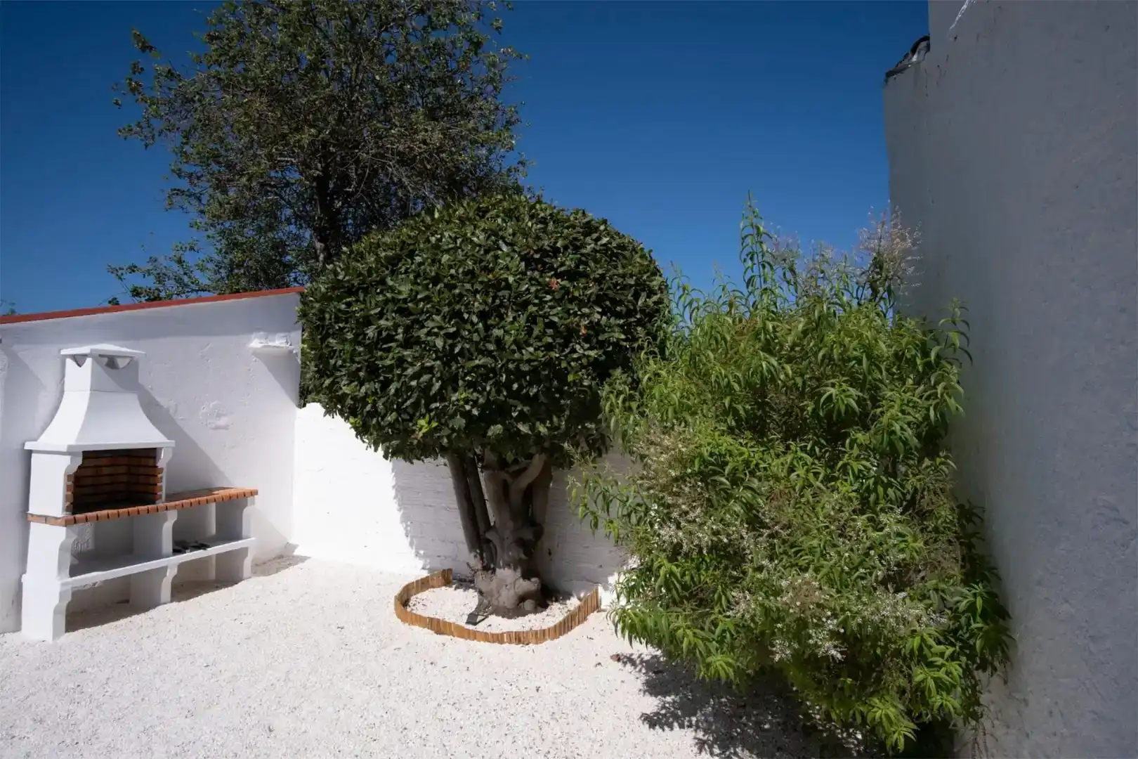 Jardí de Casa o xalet en venda en Vigo  amb Jardí privat, Parquet i Moblat