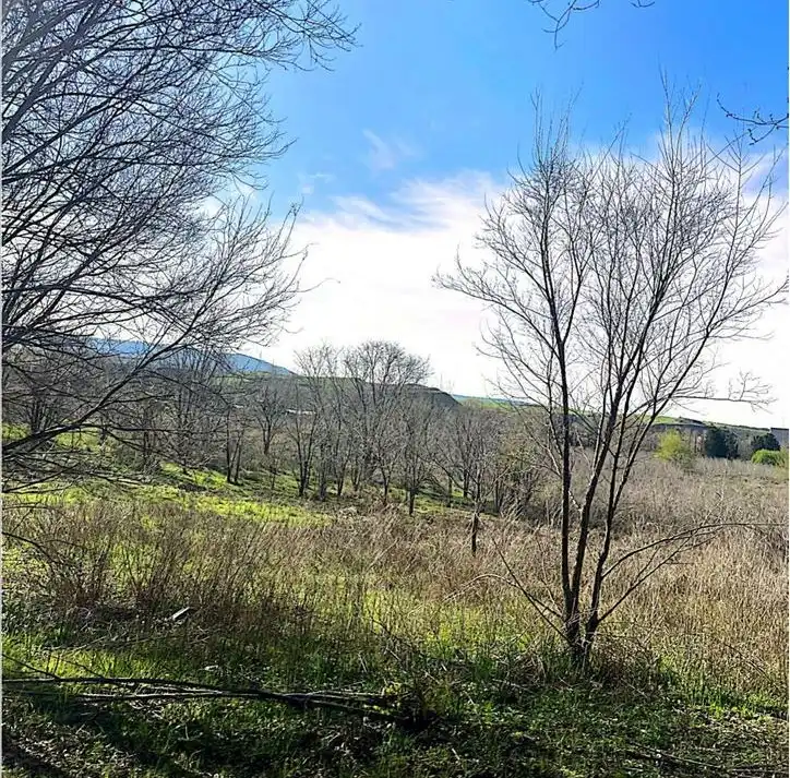 Residential land for sale in SP.P.P.12, imagen 4