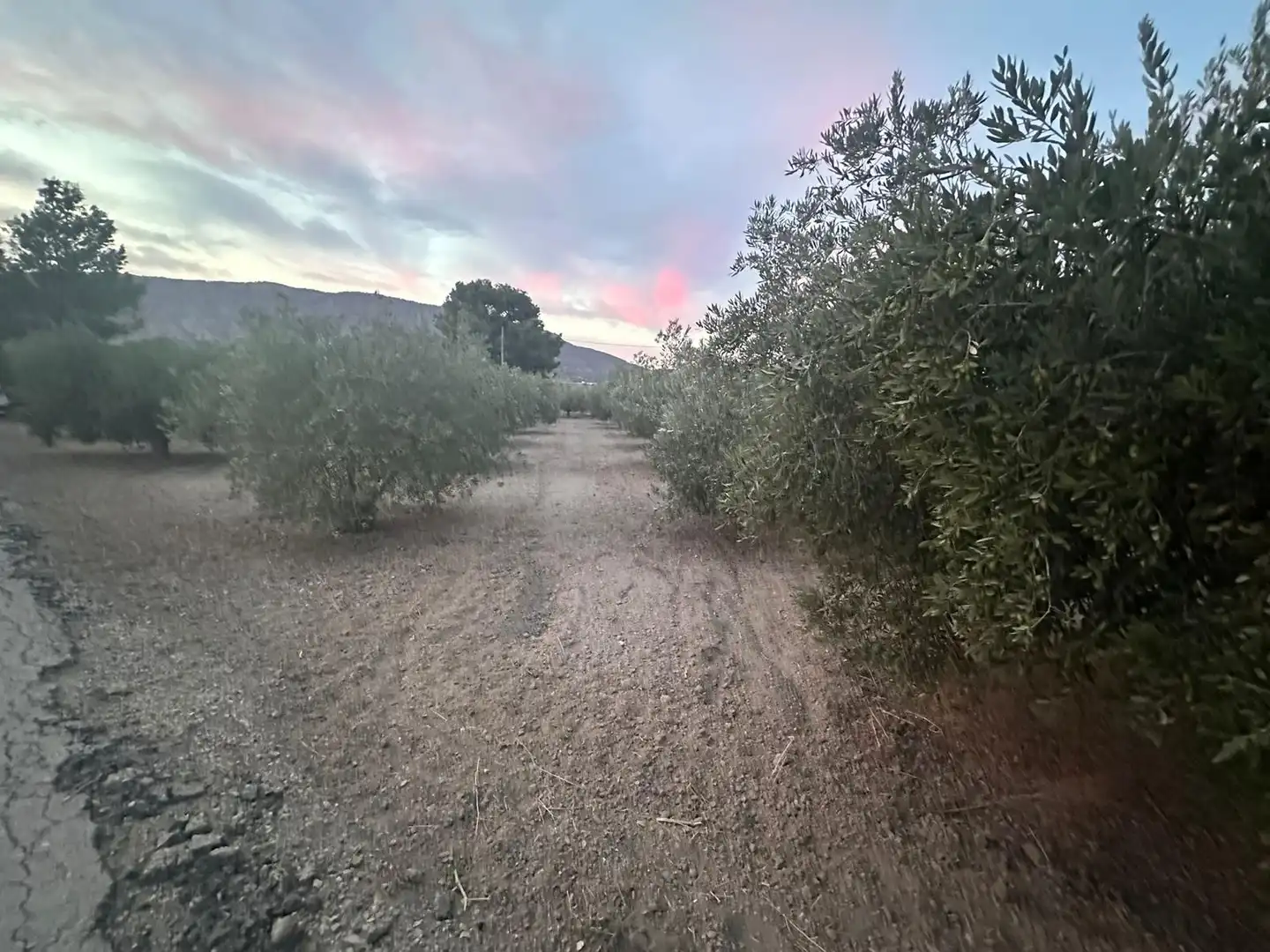 Terreno en venta en Alhama de Murcia