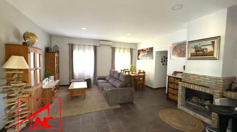 Foto 5 de Finca rústica en venda a Lebrija, Sevilla