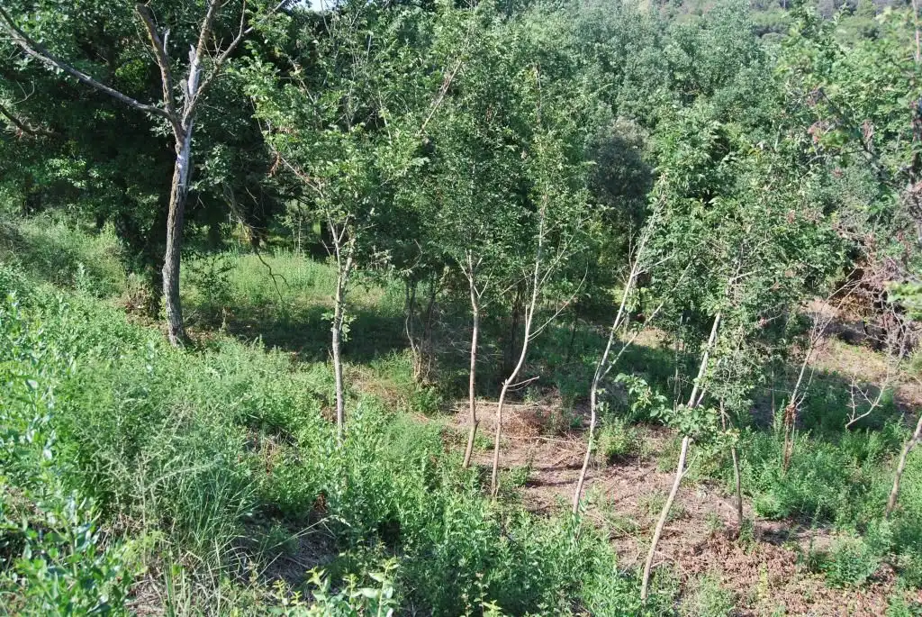 Terreny rústic en venda a Sant Celoni, imagen 30