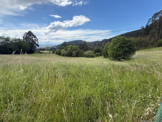 Terreno en Venta en Barrio Jainko en Arrieta