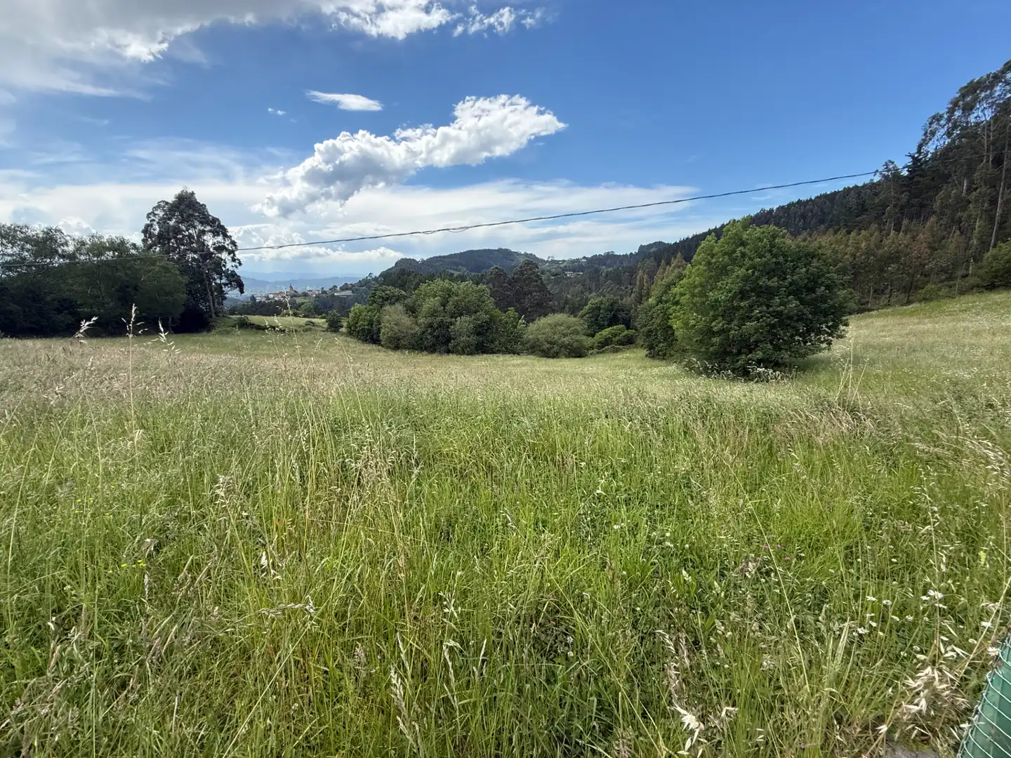 Land for sale in Arrieta