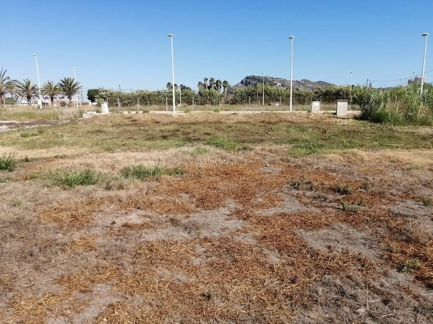 Terreno residencial en venta en Carrer Eucaliptus 2A, imagen 3