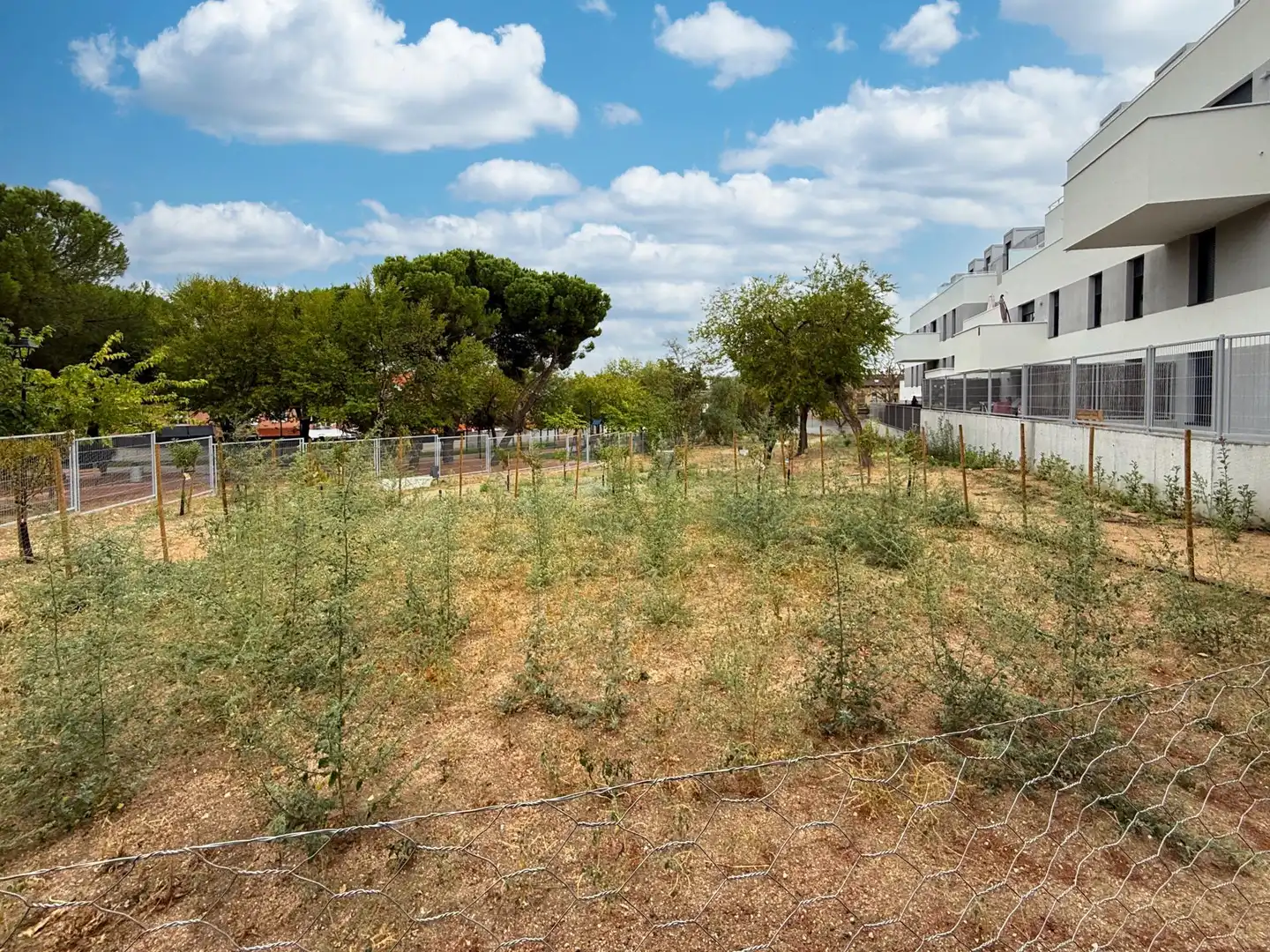 Flat with pool to rent in Cobeña, imagen 48